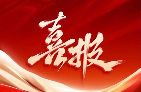 Xingqiu Graphite has been selected for the list of advanced intelligent factories in Jiangsu Province in 2025